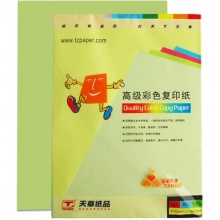 天章 (TANGO) 金彩天章A4 浅绿色彩色复印纸 80g 100张/包 单包装 